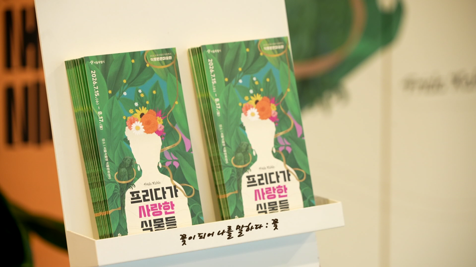 멕시코 색채로 물든 서울식물원…프리다 칼로를 만나다