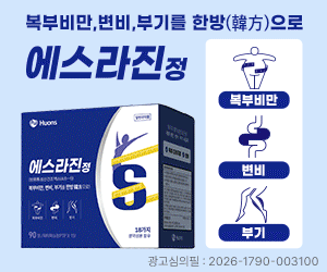 휴온스 300*250